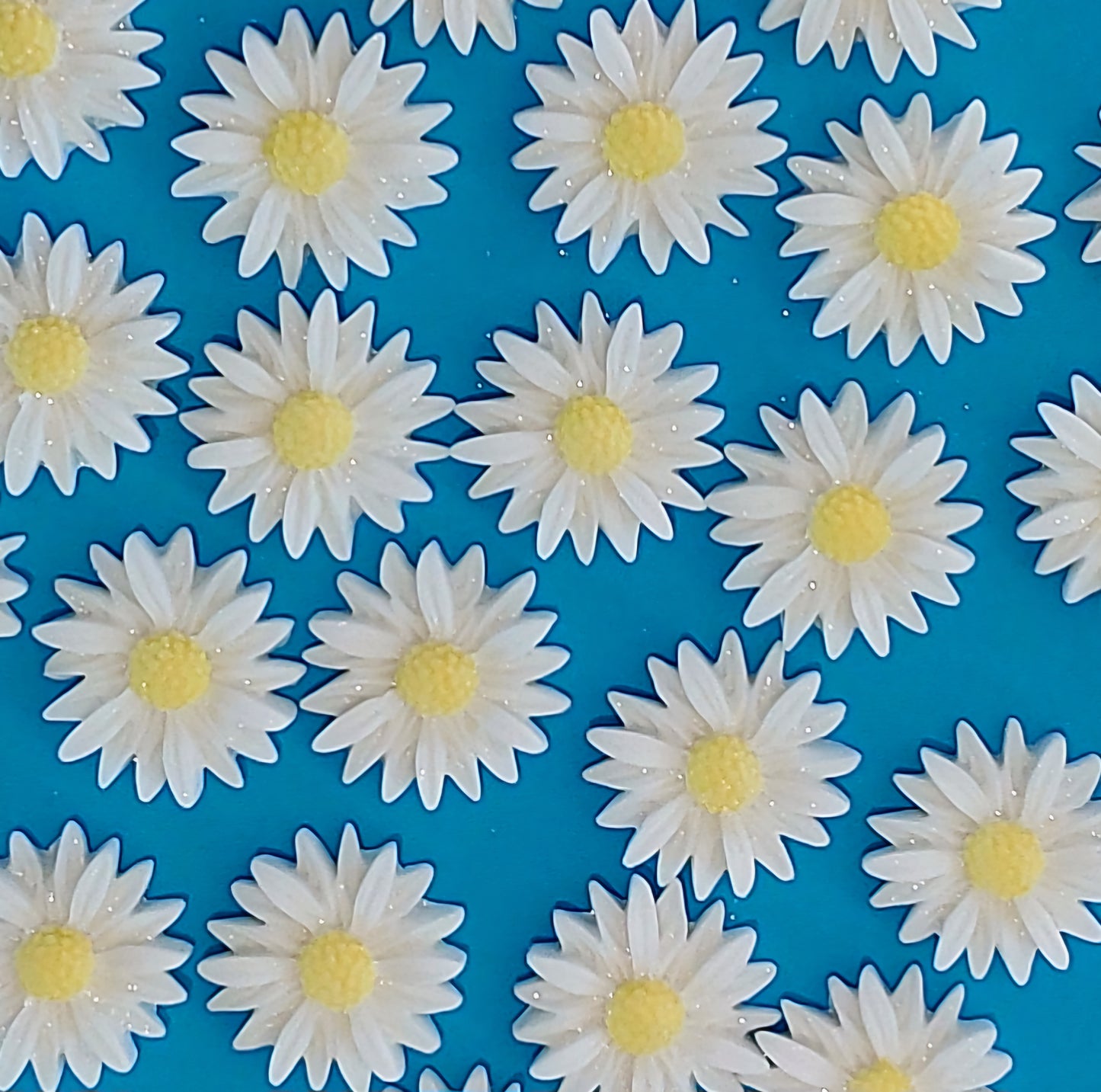 White daisies with yellow centres, edible fondant icing decorations by Cake Candy NZ