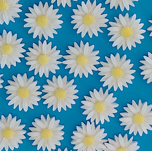 White daisies with yellow centres, edible fondant icing decorations by Cake Candy NZ