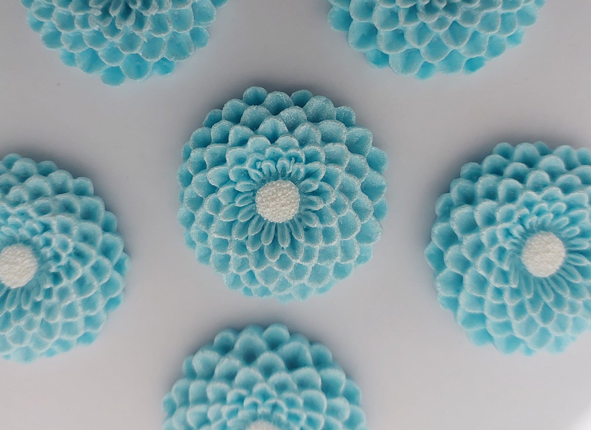 six blue dahlias, edible fondant icing decorations by Cake Candy NZ