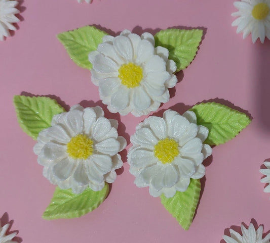 Daisies and leaves, edible fondant icing decorations by Cake Candy NZ