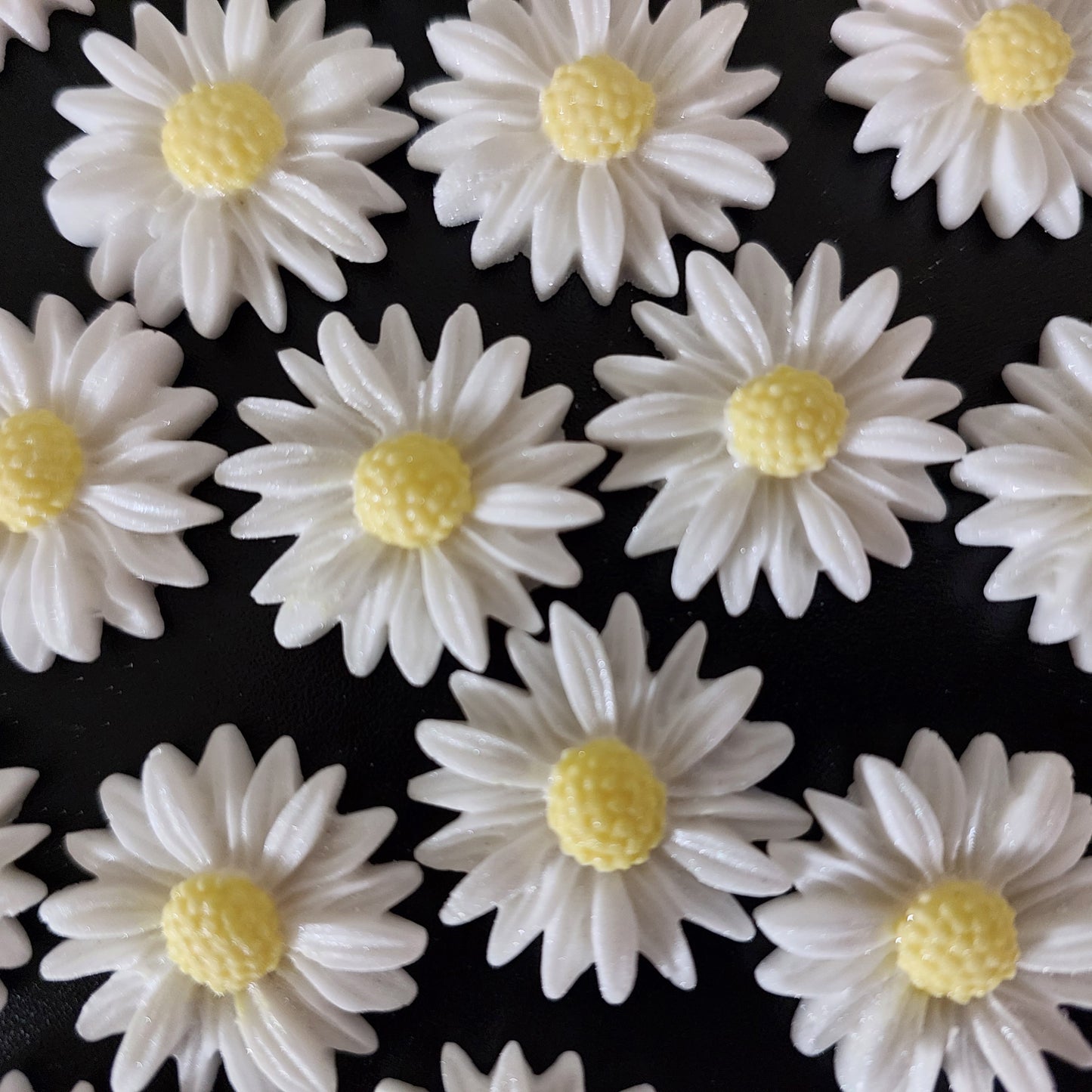 White daisies with yellow centres, edible fondant icing decorations by Cake Candy NZ