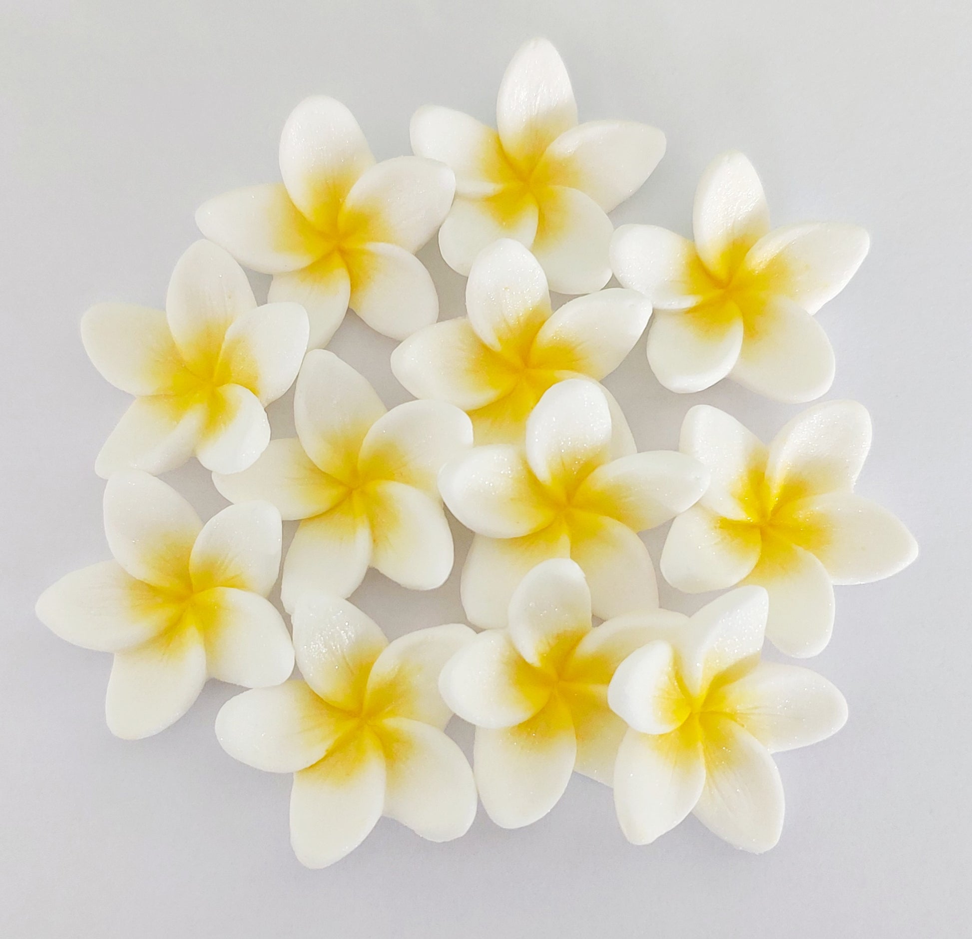 12 white frangipani / plumeria flowers. Edible fondant icing decorations by Cake Candy NZ