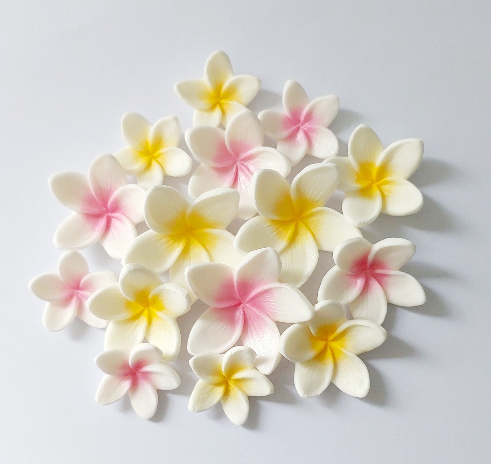 Fifteen white frangipani/plumeria flowers with pink and yellow centres. Edible fondant icing decorations by Cake Candy NZ