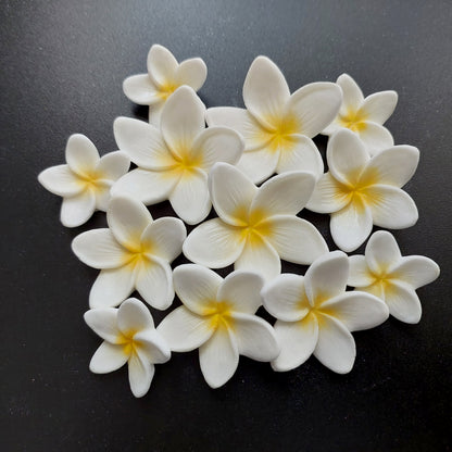 Set of 12 white and yellow frangipani / plumeria flowers in three sizes, edible fondant icing decorations by Cake Candy NZ