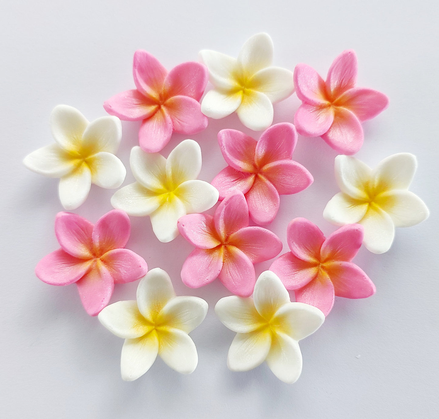 Set of twelve pink and white frangipani/plumeria flowers, edible fondant icing decorations by Cake Candy NZ