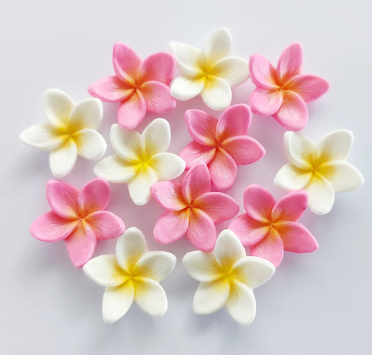 Set of twelve pink and white frangipani/plumeria flowers, edible fondant icing decorations by Cake Candy NZ