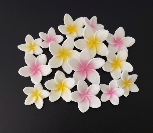 Set of fifteen frangipani/plumeria flowers, edible fondant icing cake decorations