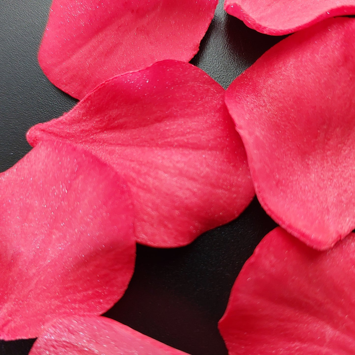 Red rose petals, edible fondant icing decorations by Cake Candy NZ