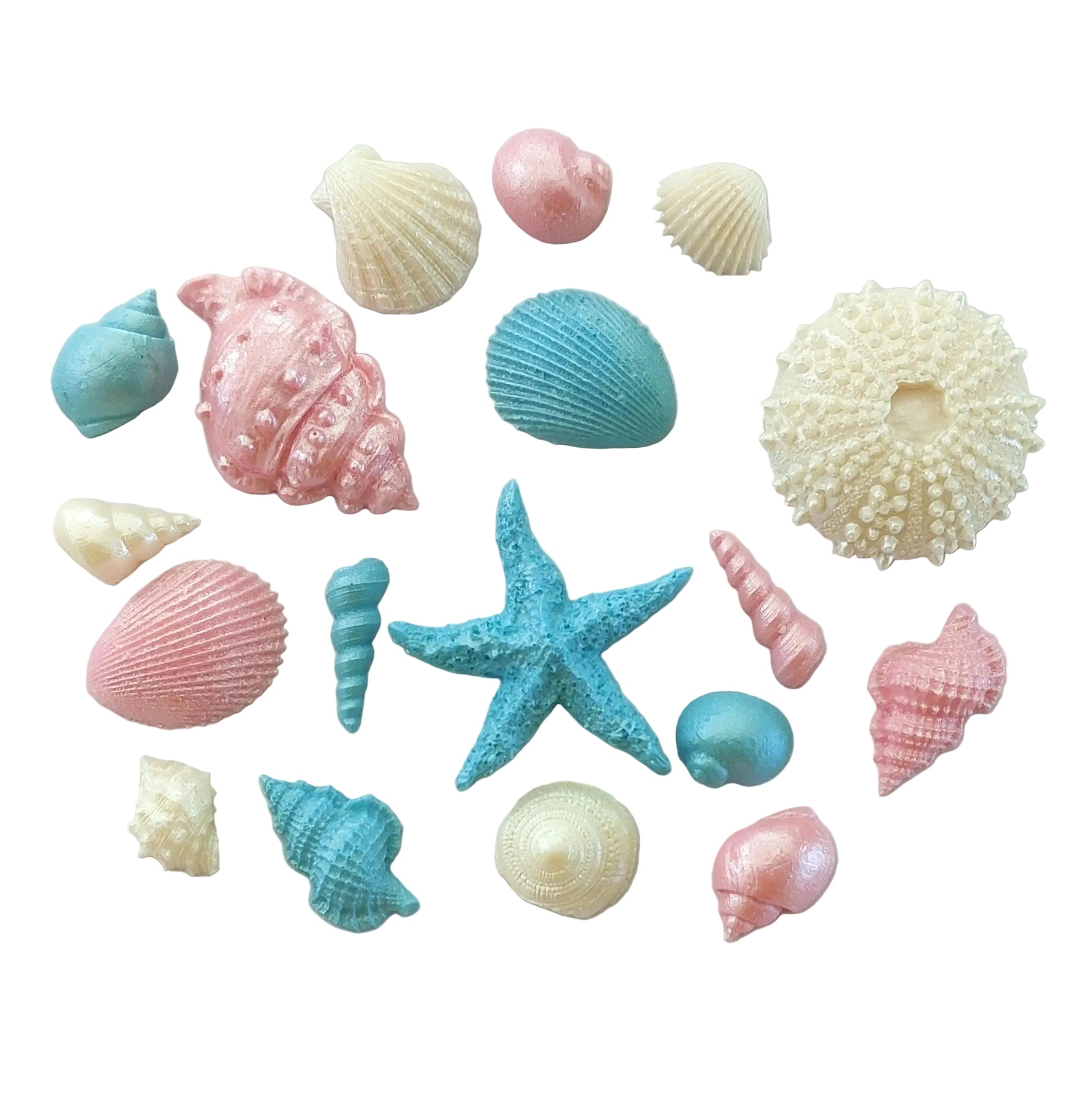 Colorful seashells and a starfish in pale pink, blue and cream colours. Edible chocolate decorations by Cake Candy NZ